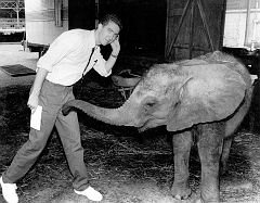 Frank and Elephant